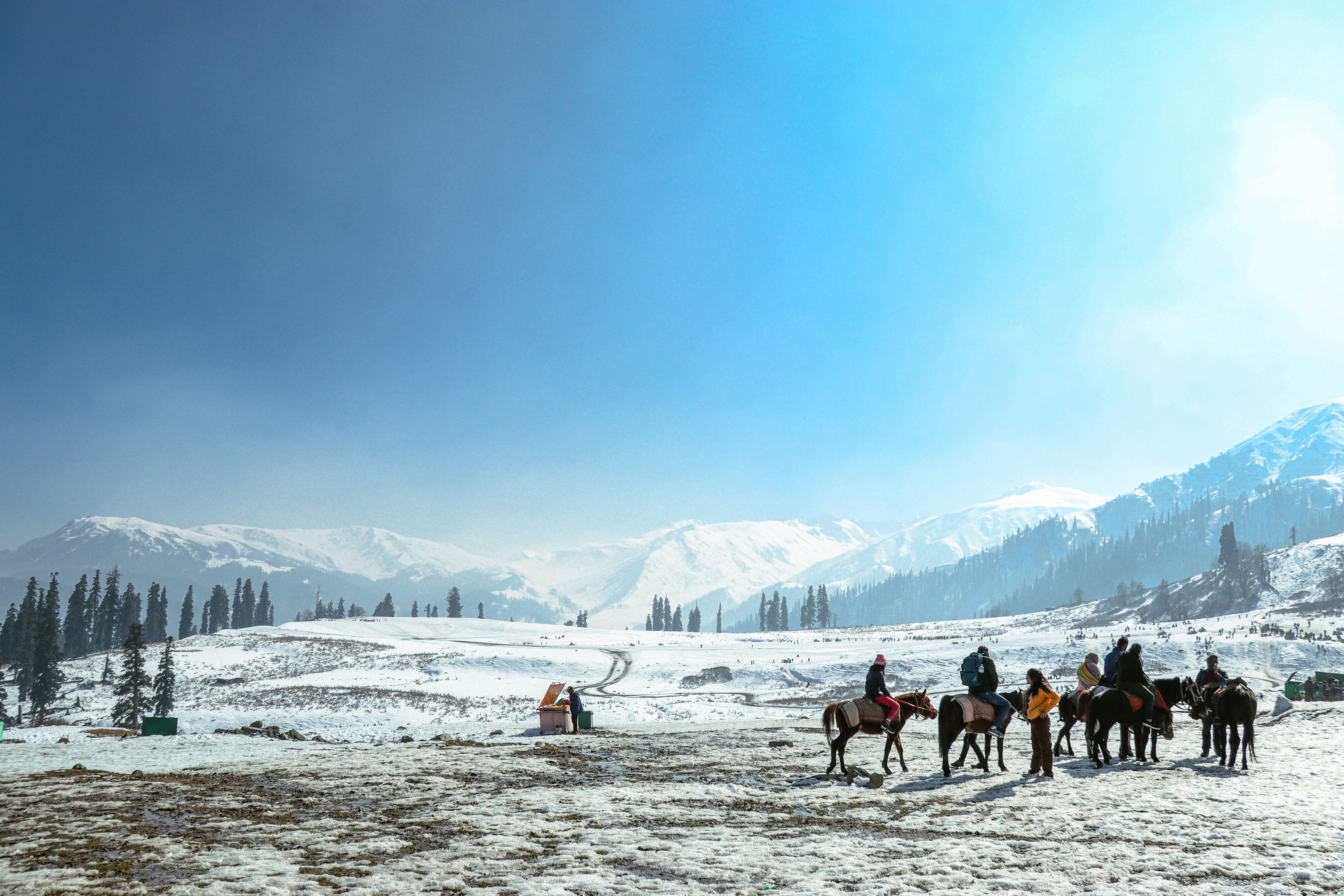 Kashmir 7 Nights 8 Days Package